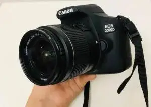 stock