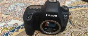 stock