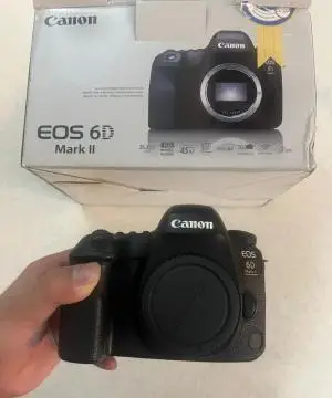 stock