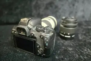 stock