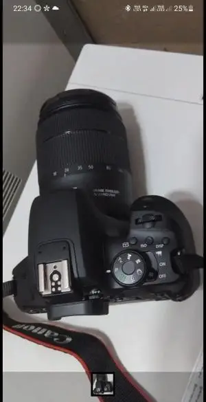 stock