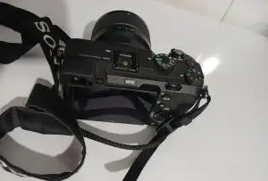 stock
