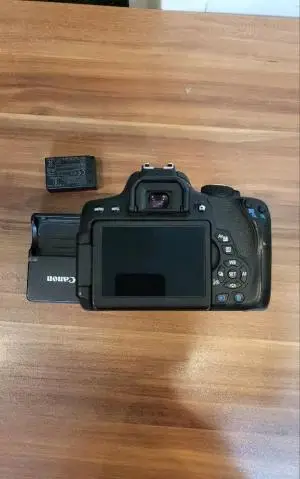 stock