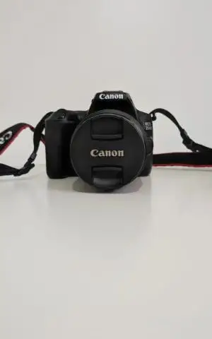 stock