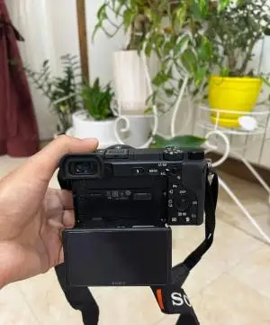 stock