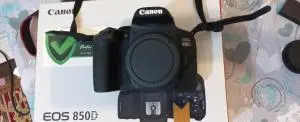 stock