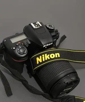 stock