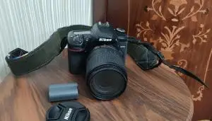 stock