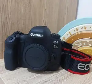 stock