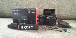 stock