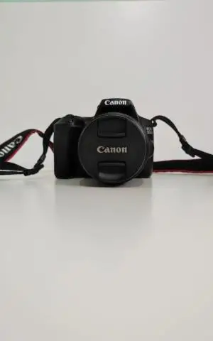 stock