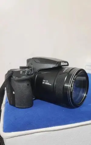 stock
