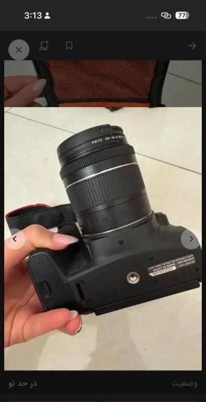 stock