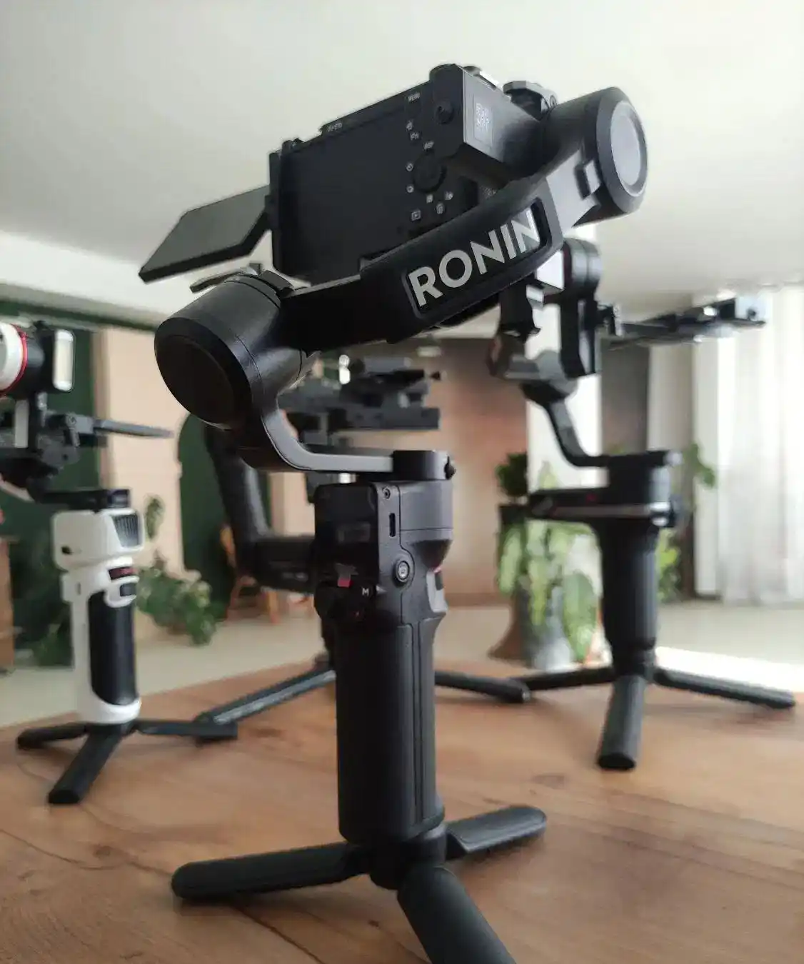 گیمبال دوربین dji rs3 mini دست دو