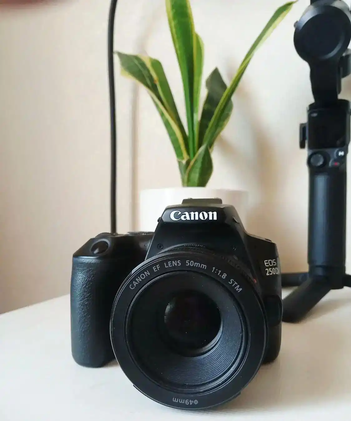 دوربین ۲۵۰ دی کانن دست دو