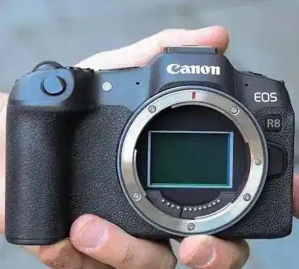 canon r8 دست دو