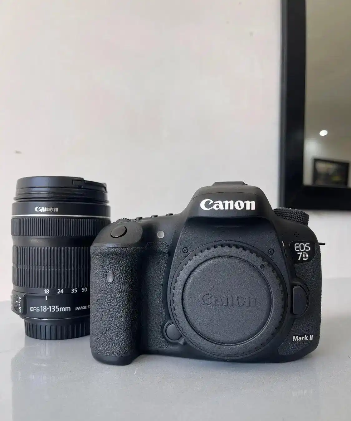 دوربین عکاسی دست دو