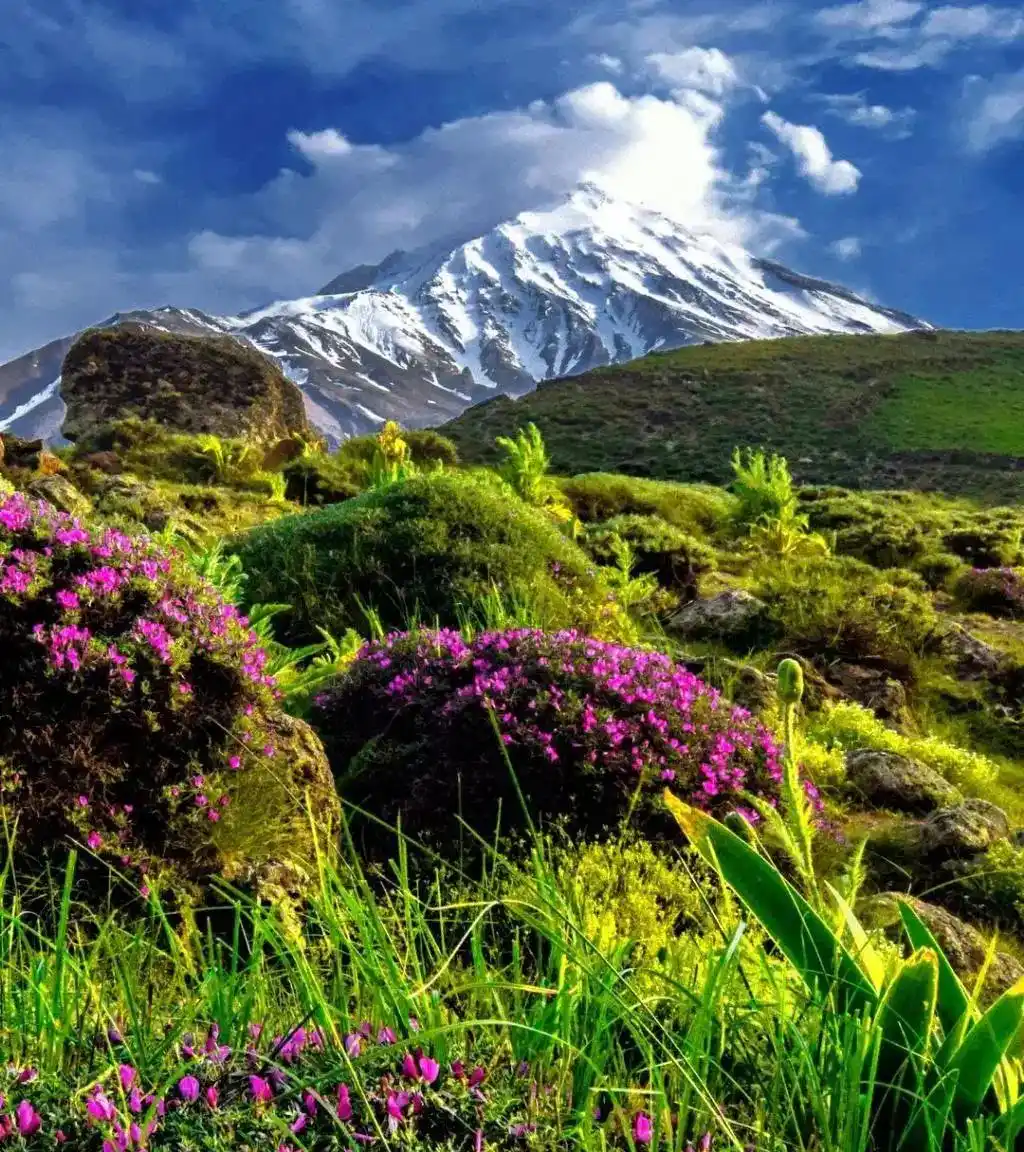 دوربین عکس برداری نیکون p900 دست دو