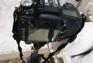 دوربین نیکون D 7000 خانگی دست دوم
