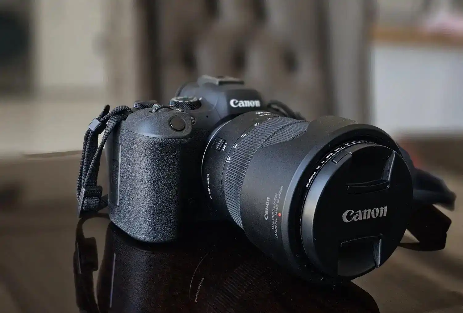 دوربین کنون R6 II دست دو