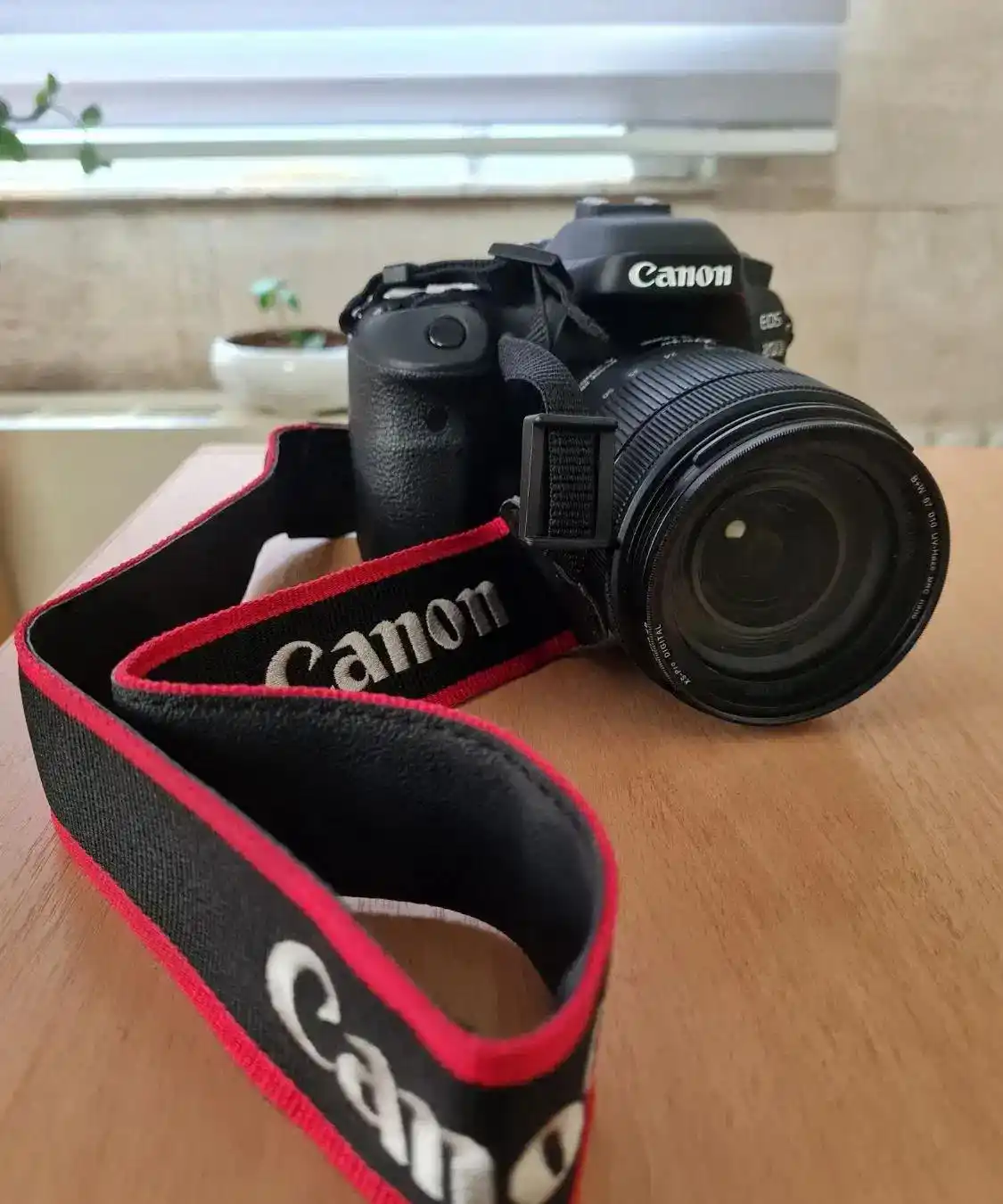 دوربین عکاسی  کانن 80D دست دو