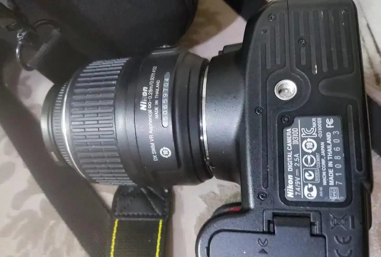 مدل Nikon D3100 دست دو