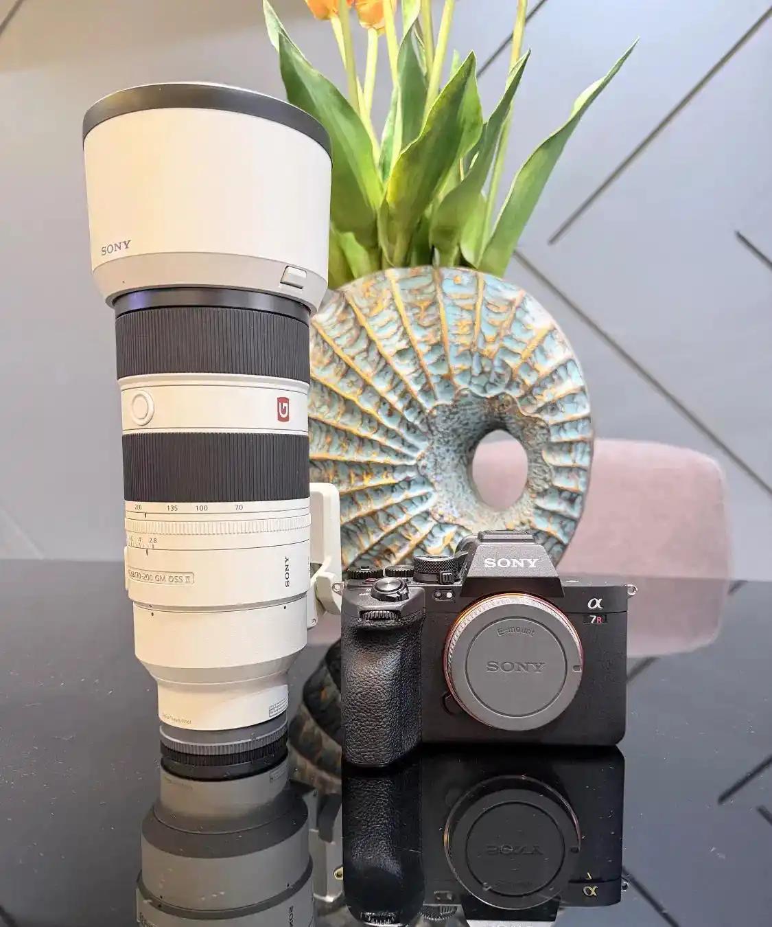 سونی الفا R5 دست دو