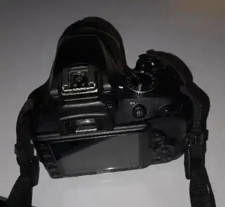 دوربین دست دو