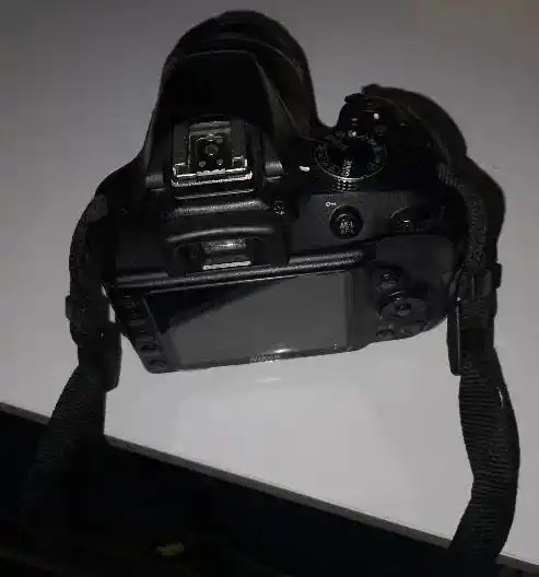 دوربین دست دو