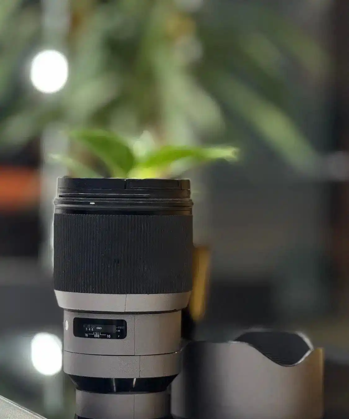 لنز سیگما۸۵   sigma 85mm dg  for sony دست دو