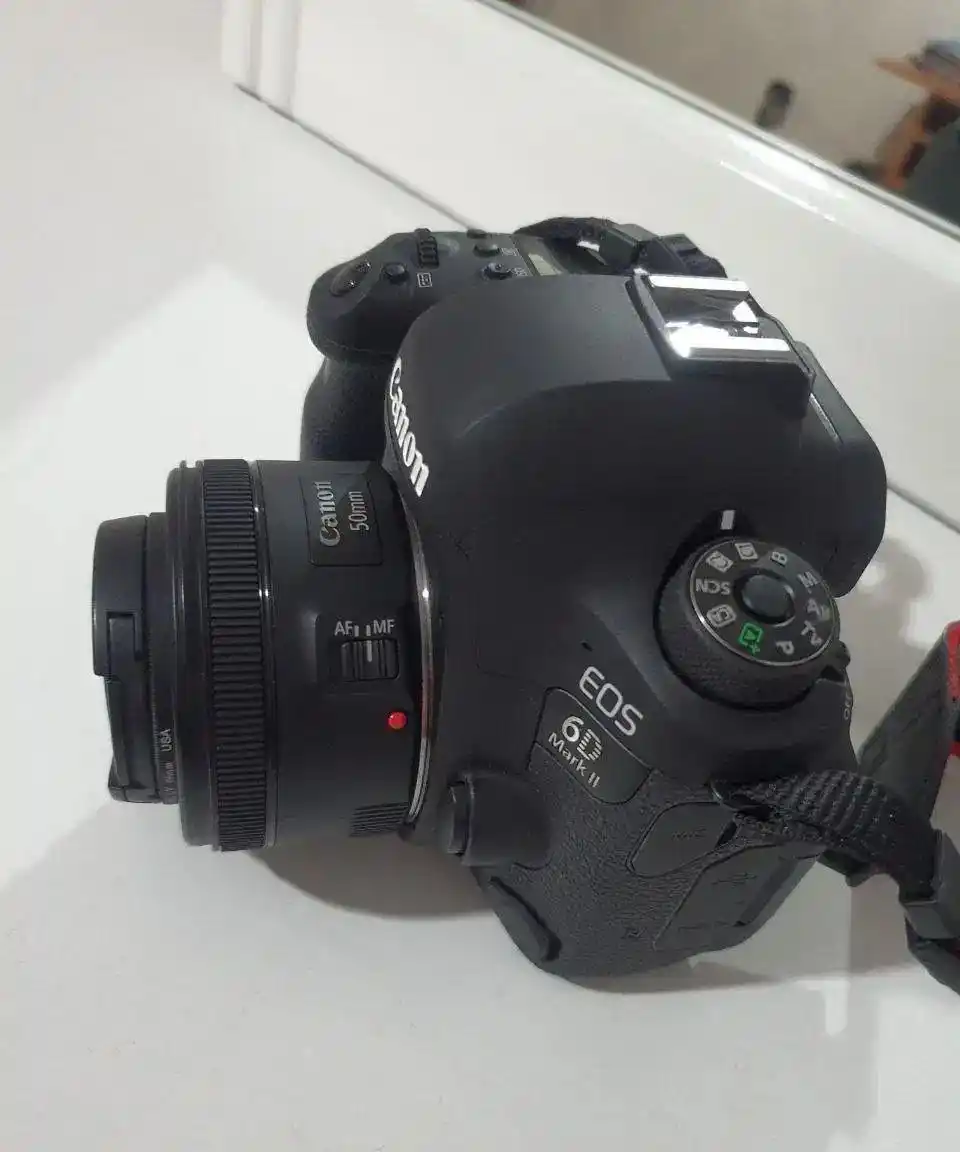 دوربین دست دو