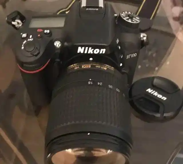 نیکون d7100 دست دو