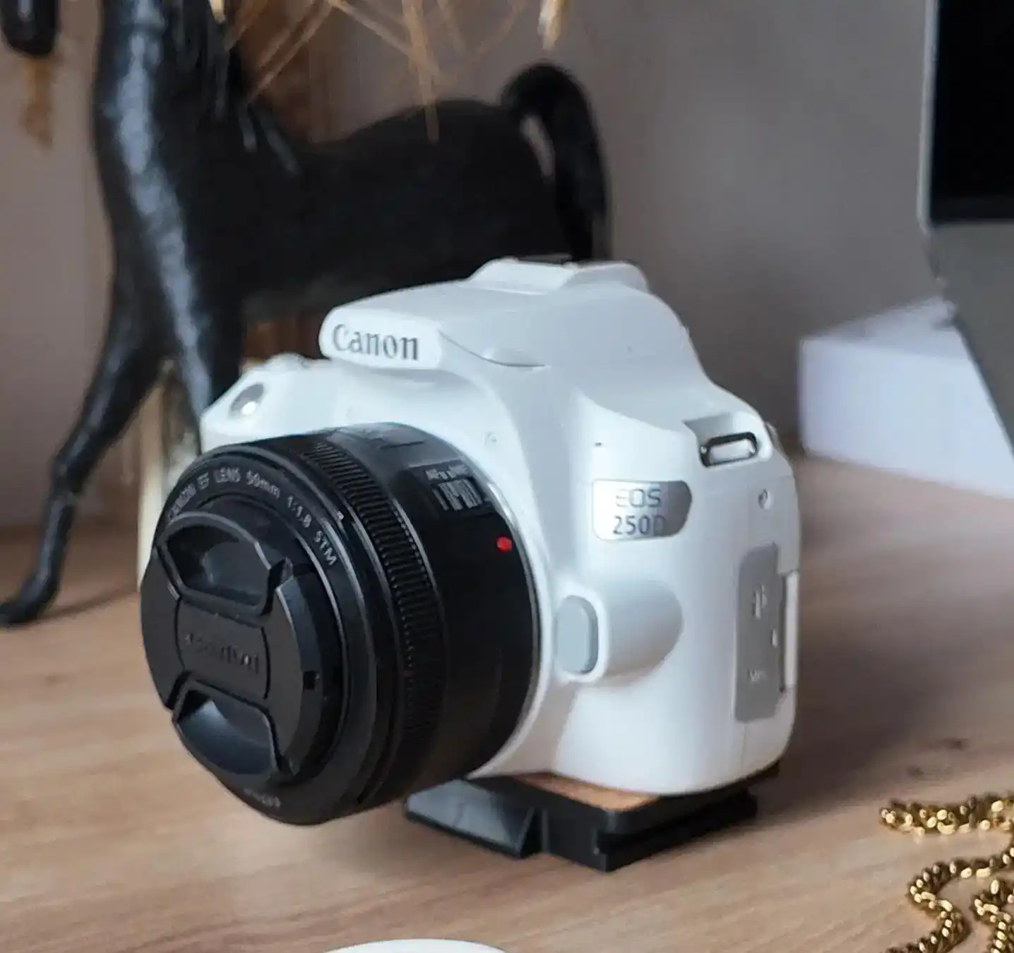 دوربین کنون 250D با لنز 50mm F1/8 دست دو