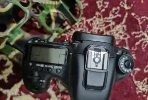 دوربین کانن 7D mark II لنز 50 F1.4 دست دوم