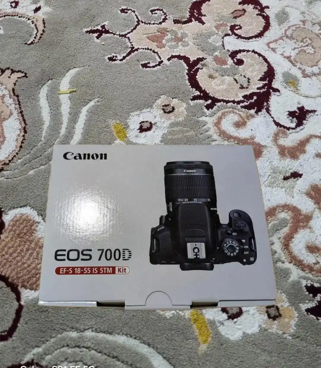 دوربین عکاسی و فیلمبرداری کانن 700 D دست دو