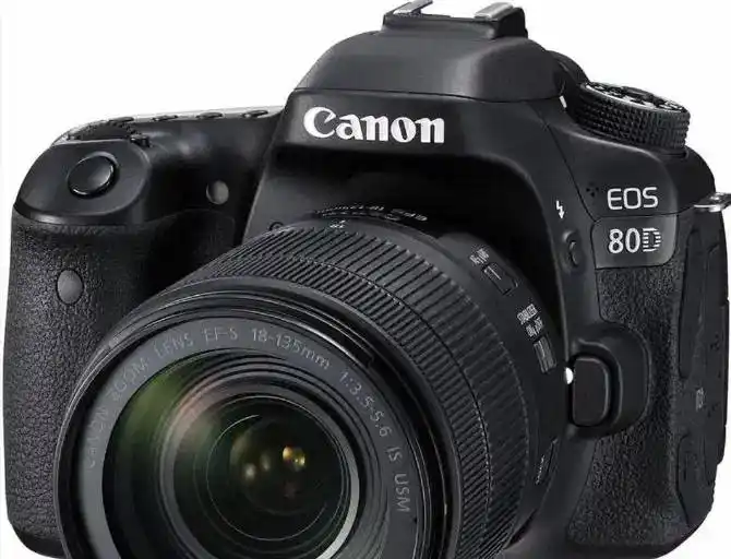 canon80 دست دو