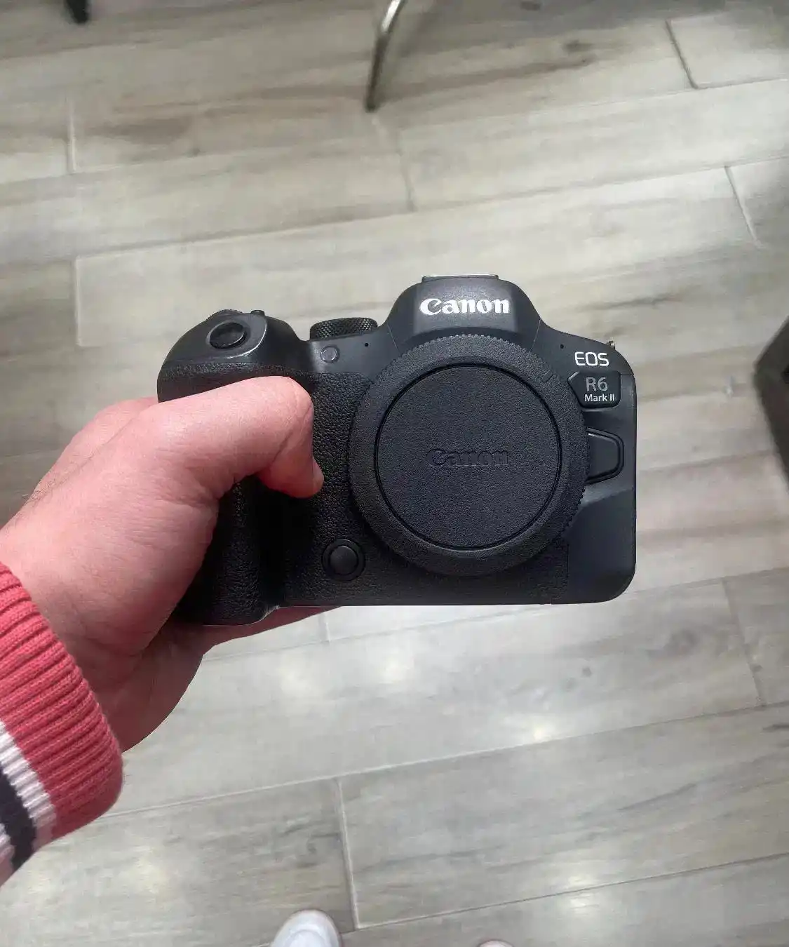 دوربین کانن R6 II دست دو