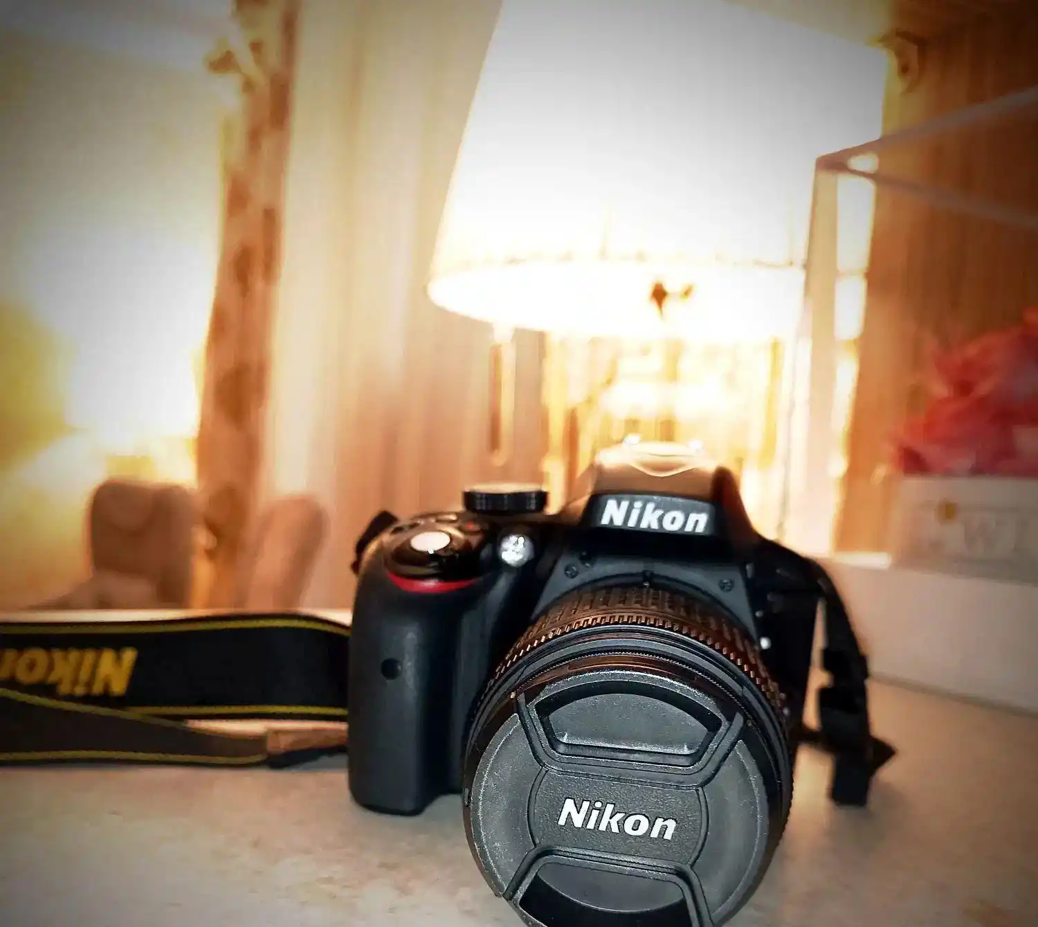 دوربین نیکون Nikon D3300 دست دو