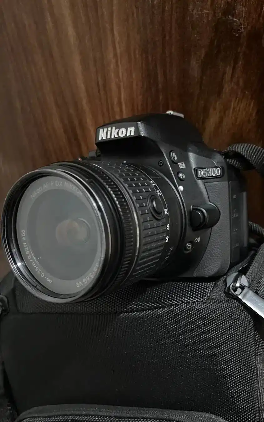 دوربین عکاسی نیکون دست دو