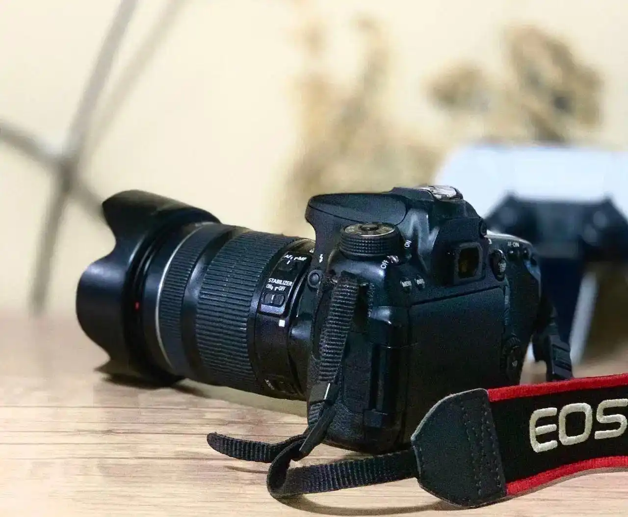 دوربین عکاسی کنون دست دو