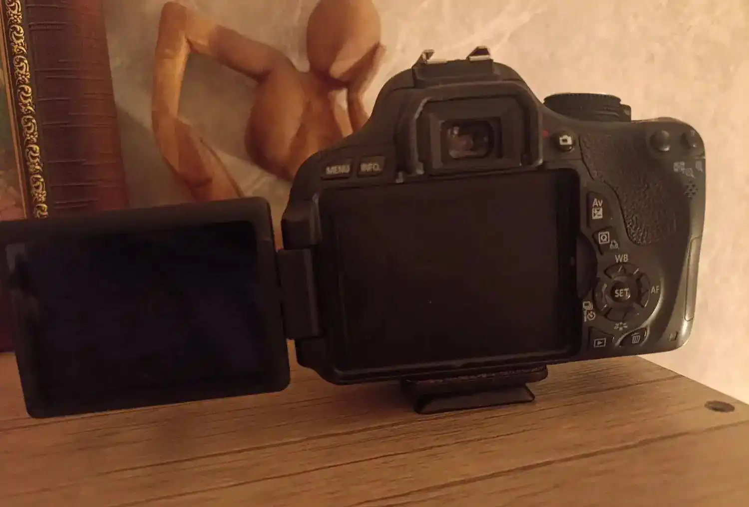 دوربین کنون EOS 600D دست دو