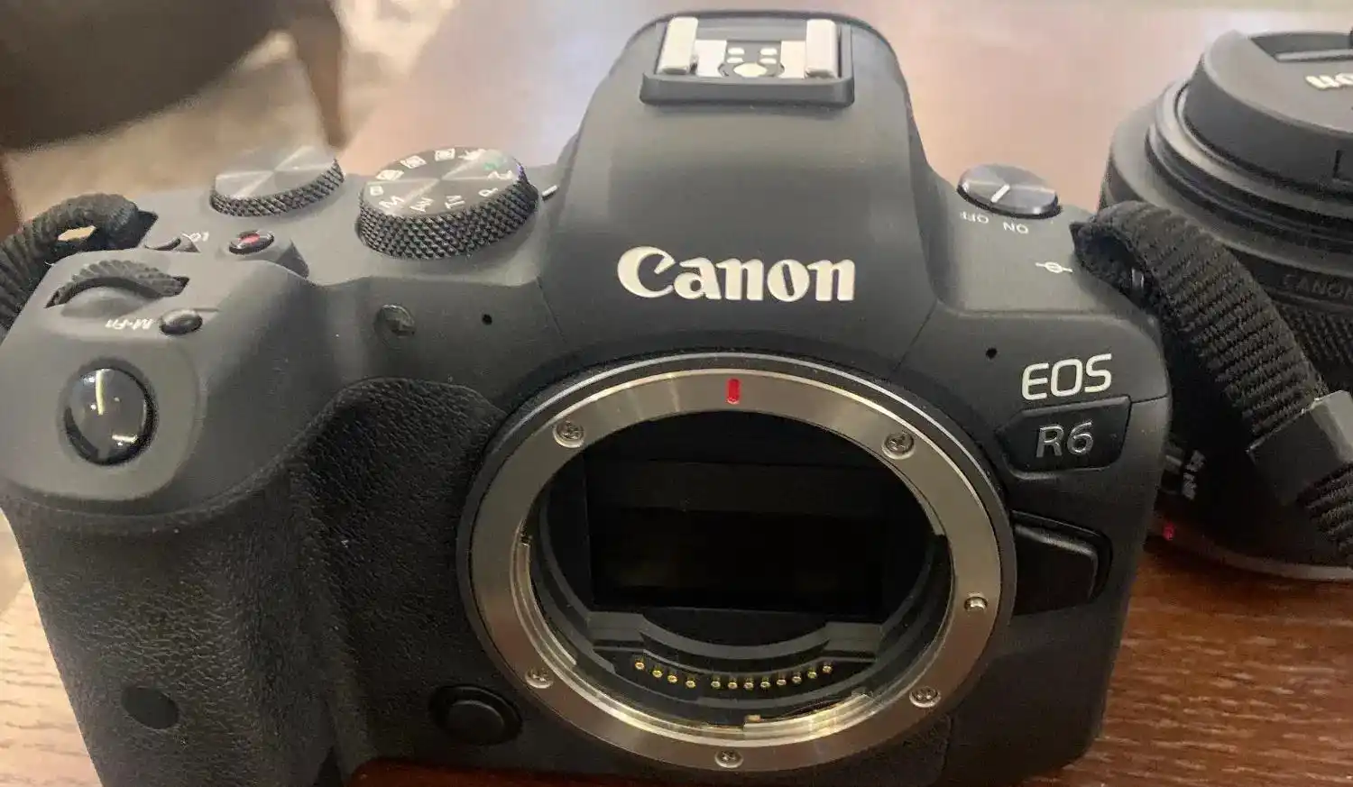 دوربین کانن EOS R6 دست دو