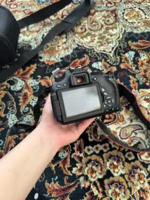 stock