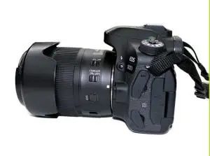 stock
