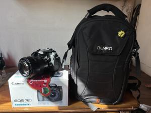 stock