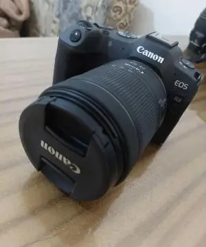 stock