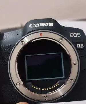 stock