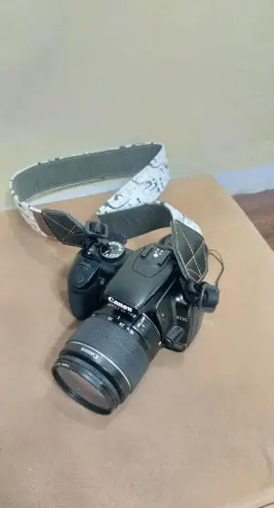 stock