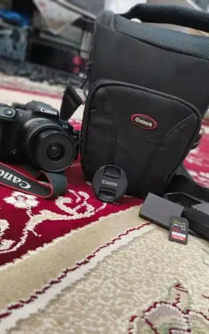 stock
