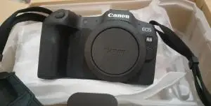 stock